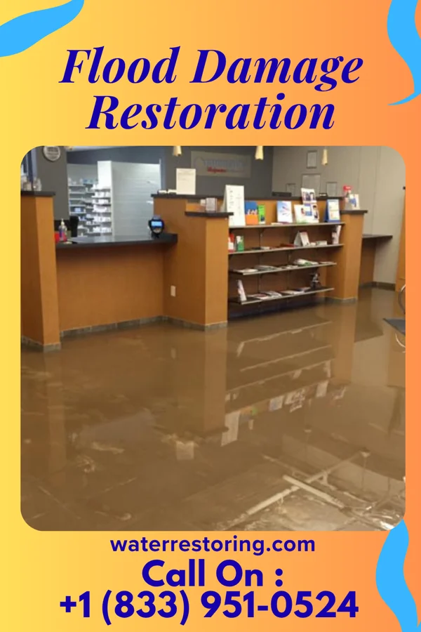 Flood Damage Restoration in Park Hills, MO